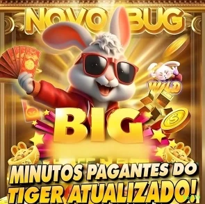 Dicas para ganhar na bet20